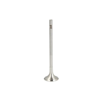 Auslassventil FRECCIA R6993/BM