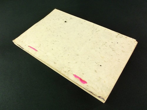MIYO NO HANA 5 japanischer Holzblockdruck Buch Kamisaka Sekka Fine Art Meiji b363 - Bild 14 von 14