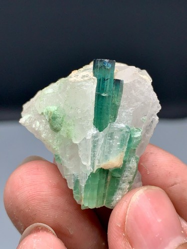 100ct | Ramo único de cristal de indicolita azul con muestra de cuarzo | Afganistán - Imagen 3 de 17