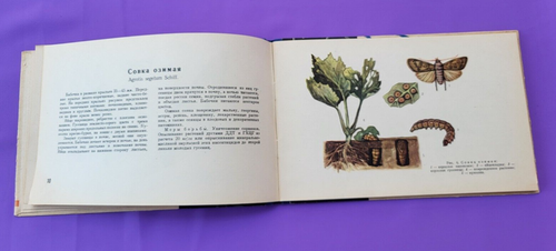Soviet Book Album of pests of flower and ornamental plants 1963 USSR - Picture 4 of 18