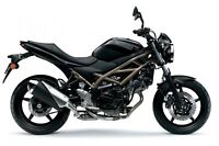 2021 Suzuki SV650A
