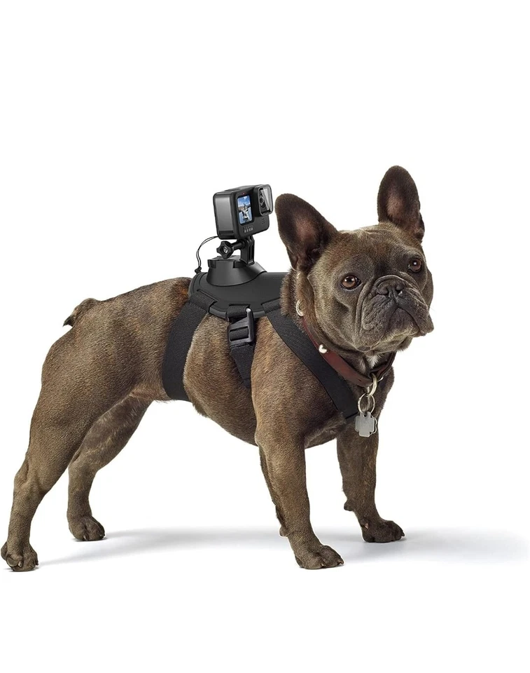 GoPro Zubeh�r Fetch Hundegeschirr - geeignet f�r HERO4/HERO3+/HERO3/HD HERO2 - Image 3 of 3
