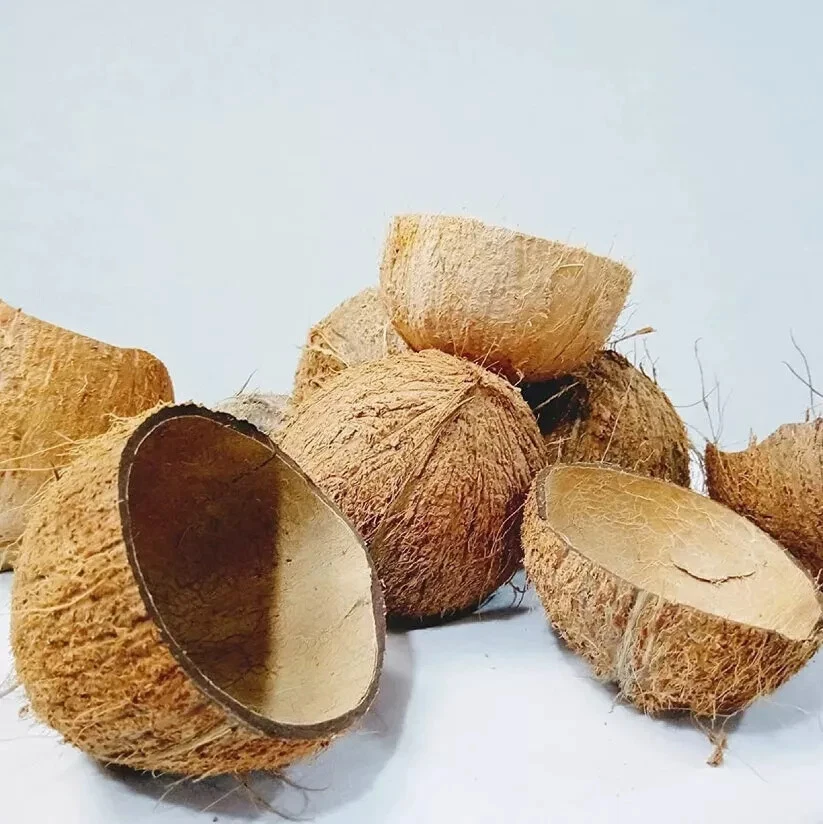 MITADES DE CÁSCARA DE COCO Ecológicas Ceilán 100% Natural Puras Mejor Cáscara de Coco Foto 2 de 4