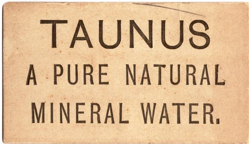 MISS VIOLET CAMERON : SCANDALOUS STAGE ACTRESS : CDV ; AD FOR MINERAL WATER - Picture 2 of 2