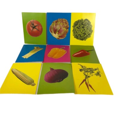 Vintage Bramley Quadrillion 1998 Vegetables Note & Recipe Cards With Envelopes