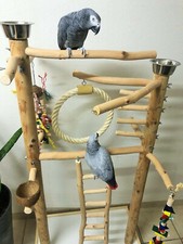 Freisitz HEAVEN kompl. Rotbuche, Papageienspielzeug, m.Wendeltreppe,Neuheit 2021