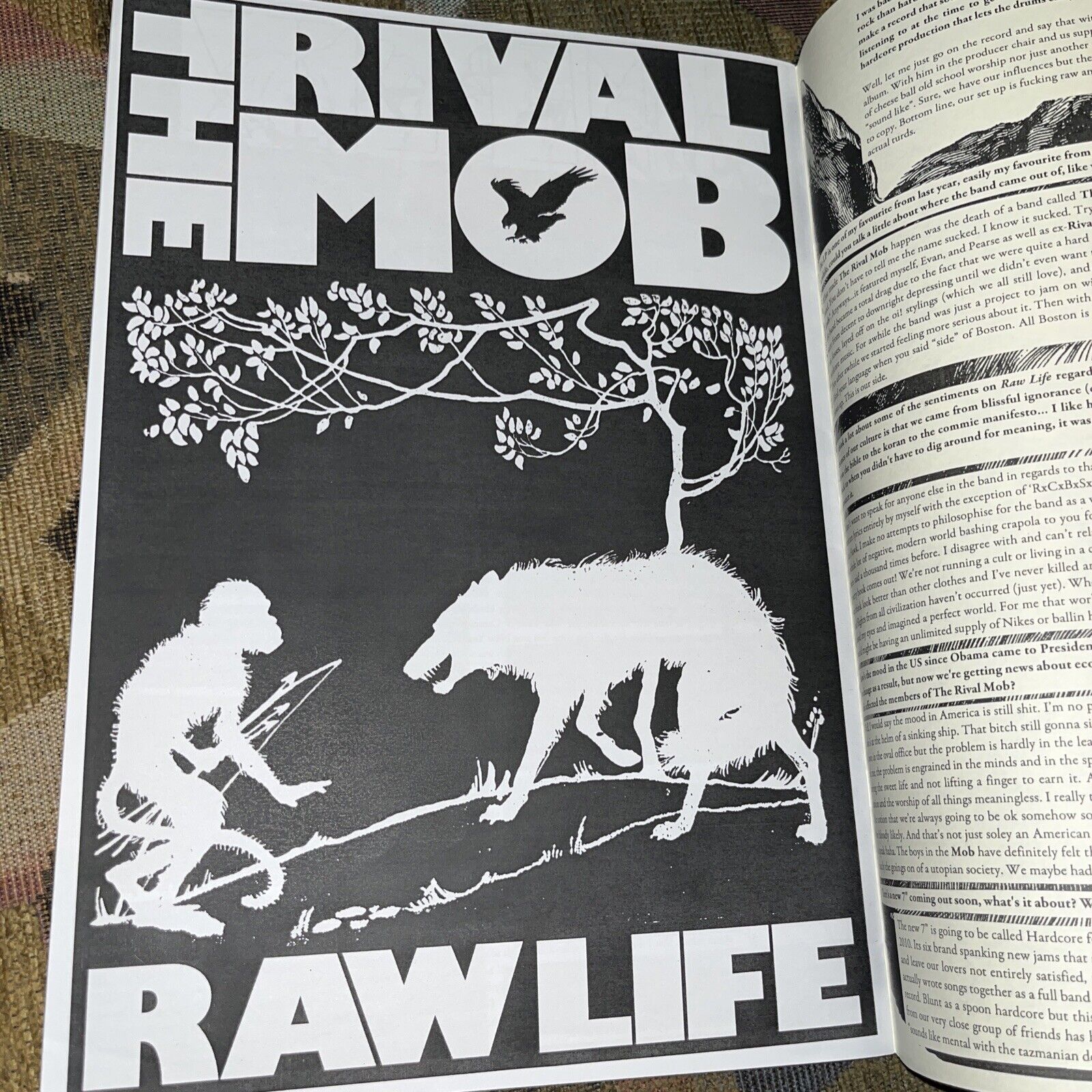 Distort AUSTRALIA punk zine #28 Rival Mob No Tolerance Criminal Damage SXE  NYHC