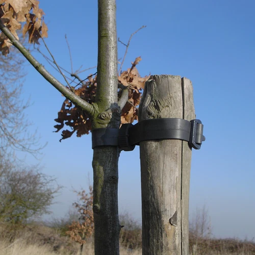 10 X Heavy Duty Buckle Tree Ties PVC Strap Strong Tree Support 38CM X 2.5CM