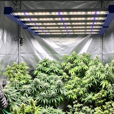 4000W Spider LED Grow Light 350W 4×4FT Commercial Bar Full Spectrum Growing Lamp