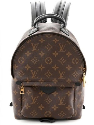 Louis Vuitton Palm Springs PM Backpack