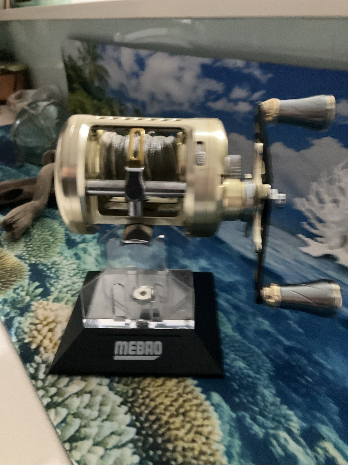 Diawa Luna 300L Baitcaster Reel
