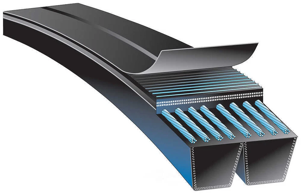 Cinturón en V de autobús de tránsito para puertas de piso bajo Gillig 2001-2010 Foto 3 de 3