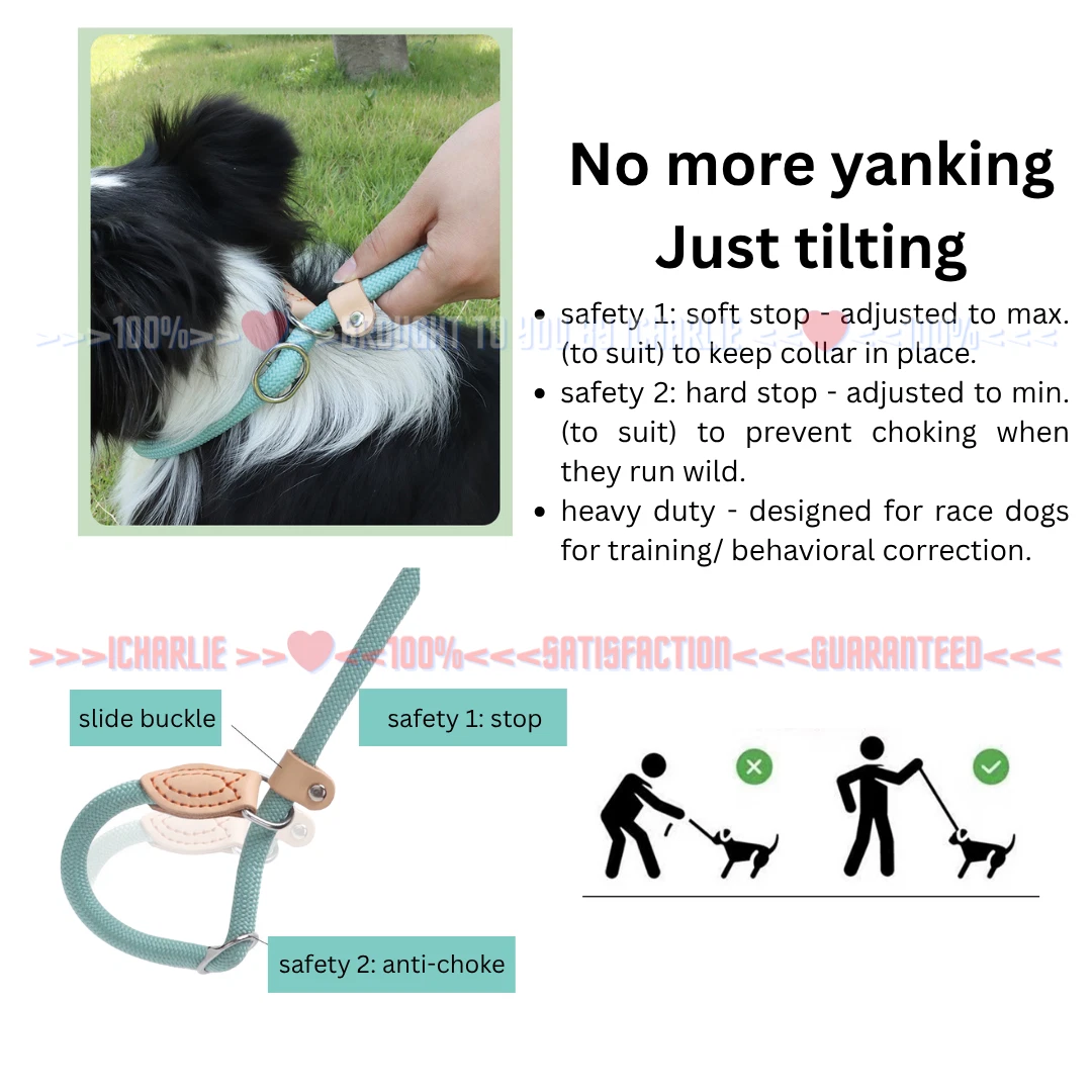 Dog Puppy Slip Lead Training Correction Leash Heavy Duty Nylon Rope 1.8m 8-16mm