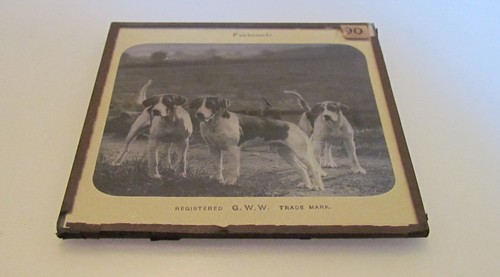 VICTORIAN GWW Glass Magic Lantern Slide FOXHOUNDS C1890 DOGS DOG FOXHUNTING - Picture 2 of 2