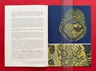 Foto 10 di 13