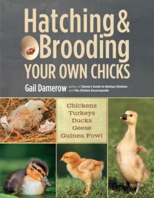 Hatching & Brooding Your Own Chicks: Chickens, Turkeys, Ducks, Geese, Guinea Fow