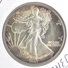 US 1987 ASE $1 .999 Fine 1 Ounce American Silver Eagle NICE TONING Bullion Coin