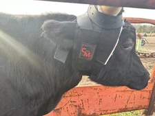 Horn Wraps For Team Roping Black by Cowboy Mafia