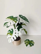 Monstera Plant Coaster Set, Modern Plant Decor w/6 Coasters, Great for Desks