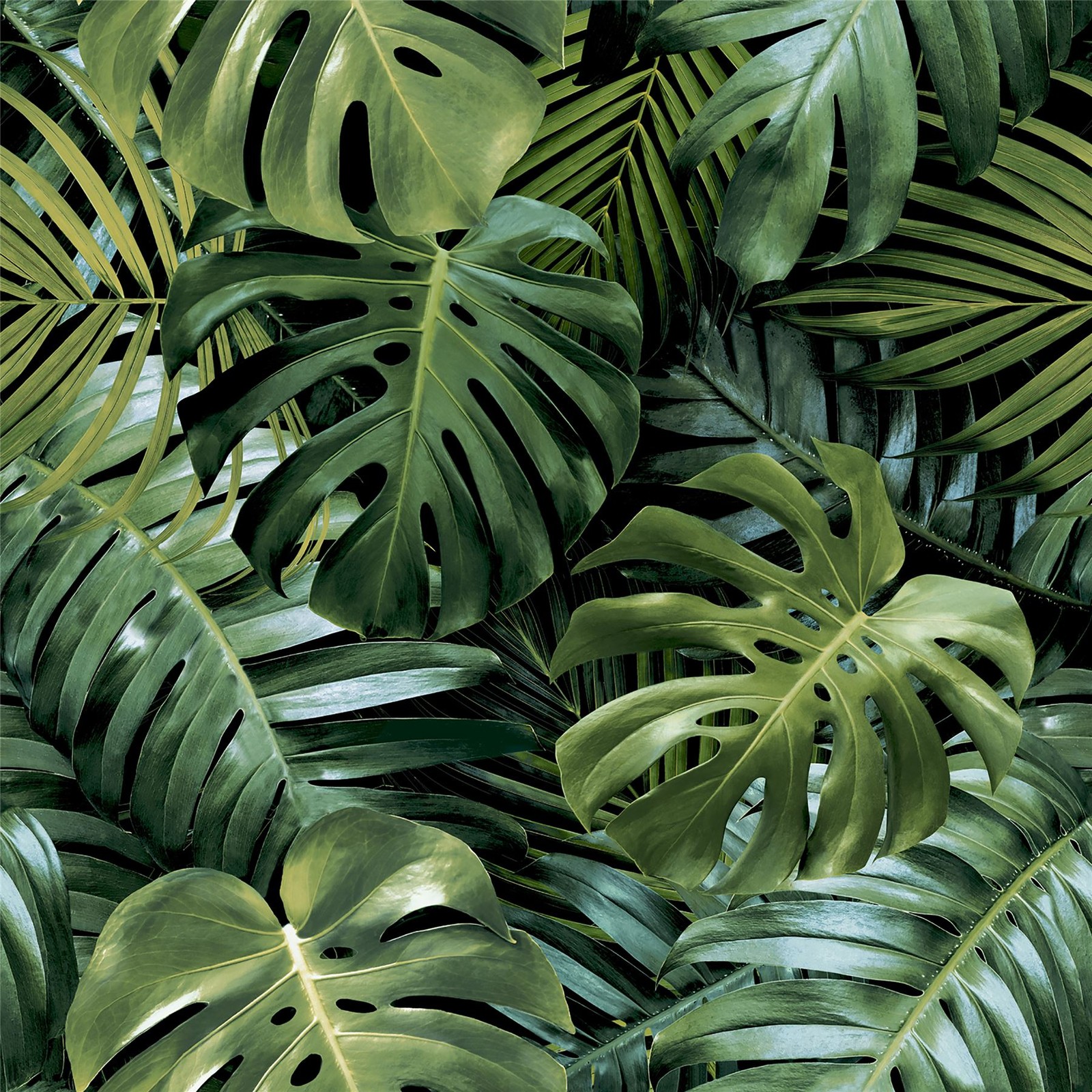 Arthouse Living Wall Green Wallpaper - Image 4