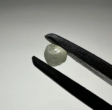 Montana Sapphire Rough (See Description)