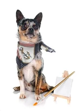 XLarge Summer Dog Bandana – Lightweight Western Dog Scarf Bandana for Boys an...