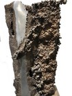 Bild 2 von 7