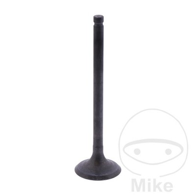 UNBRANDED OEM Leak Valve