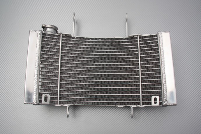 Évitez la surchauffe avec le radiateur alu renforcé GASGAS RX 450F REPLICA