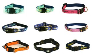 guy harvey dog collars