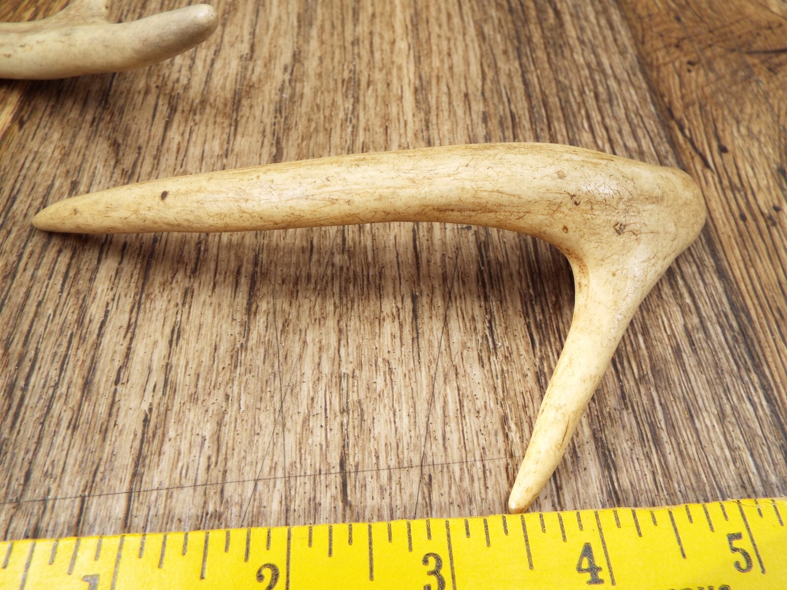 2Whitetail DEER antlers dog chews, Pen blanks crafts knife handle
