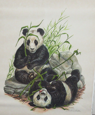 W D GAITHER GIANT PANDA LIMITED EDITION HAND SIGNED IN PENCIL
