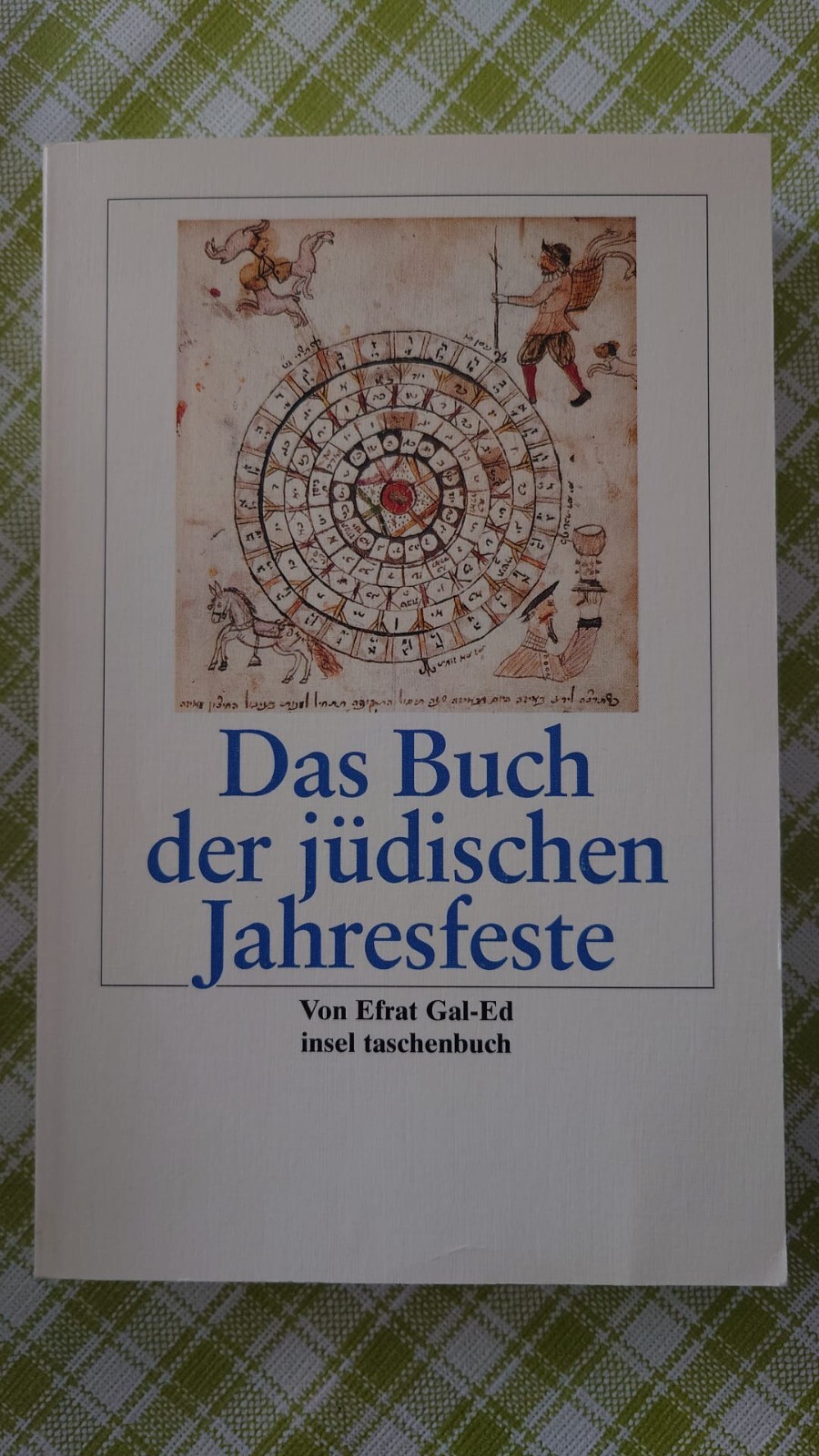Das Buch der jüdischen Jahresfeste von Efrat Gal-Ed (2019, Taschenbuch)