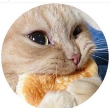 ADORABLE CUTE PAWS CAT Pendant DIAMOND Cut 925 Sterling Silver 20" Necklace Gift