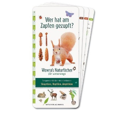 Ursula Wawra Wer hat am Zapfen gezupft? - Wawra's Naturfächer für unterwegs