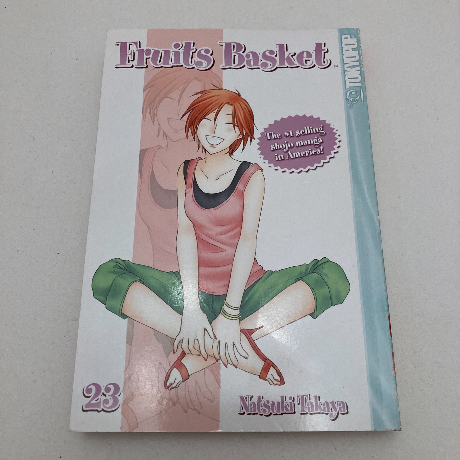 Fruits Basket Vol. 23 by Natsuki Takaya (Paperback, 2009)