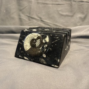 Vtg POLISHED ORTHOCERAS AMMONITE FOSSIL Carved Business/File Holder Rack 