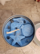 Sea Breeze Candle: Tropical Scent, Shells  Apatite Crystals, 8 oz