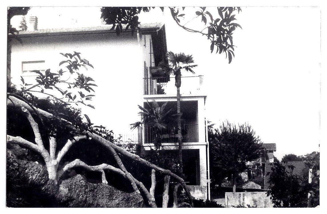 Foto 1 di 2