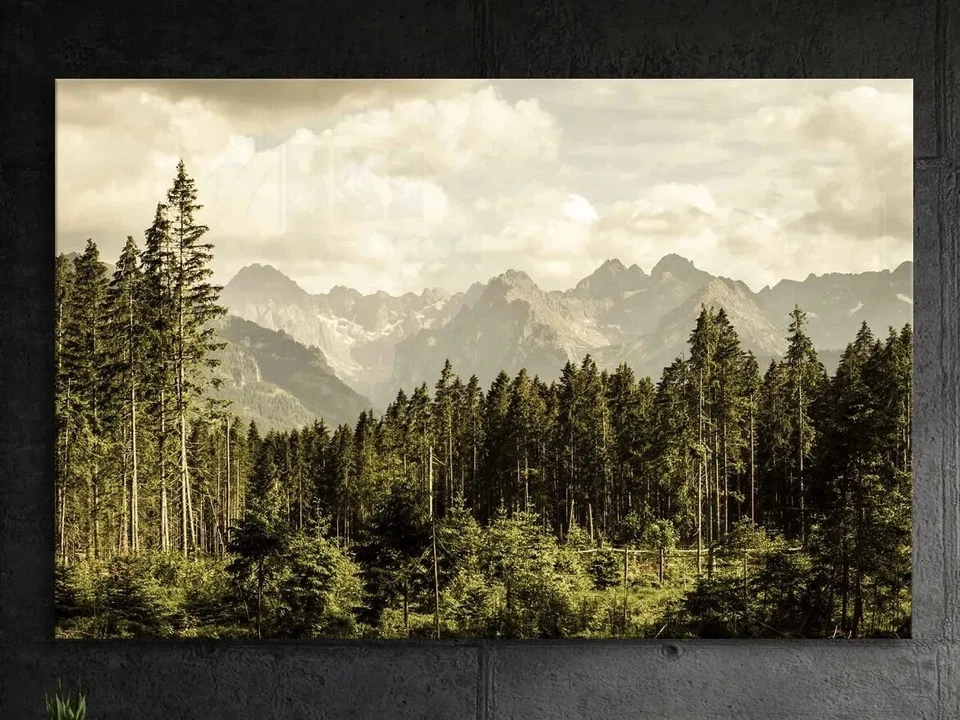 Rural landscape photo forest mountains printed framed wall art home decoration  - Image 2 of 4