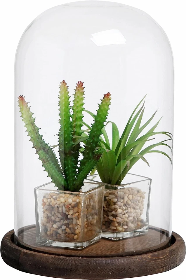 Vitrina de vidrio transparente Cloche Bell Jar con base de madera rústica, 10 X 7 pulgadas Foto 3 de 4