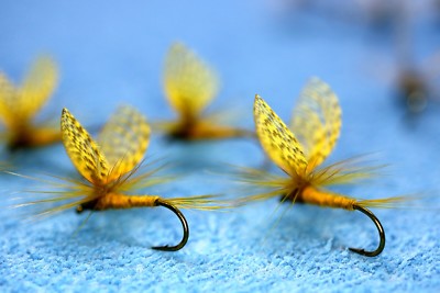  Parachute mit Flügeln VW Gr.12 Trockenfliege Qualität Fliegenfischen