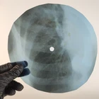 STOOGES LITTLE DOLL X-Ray USSR Record Roentgen Bone Ribs Music Vinyl