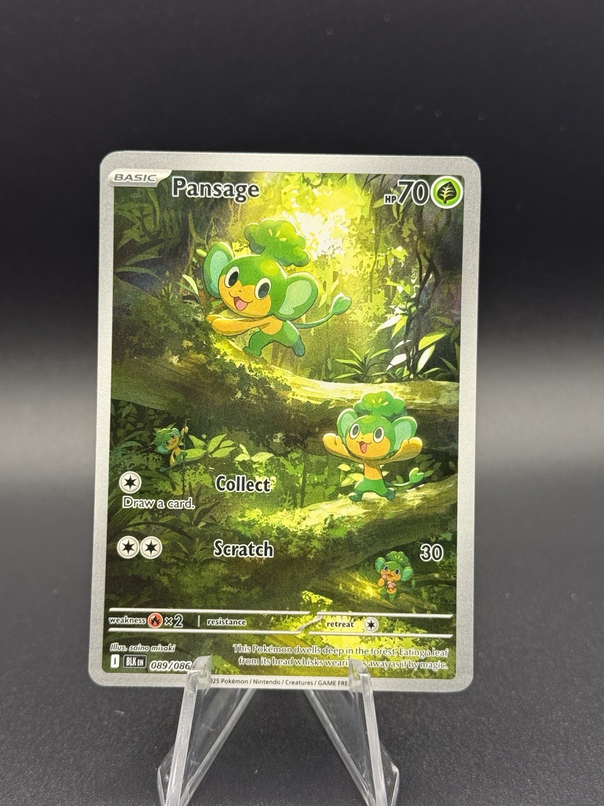 Pokémon TCG Pansage BLK EN 089/086 Illustration Rare NM Black Bolt