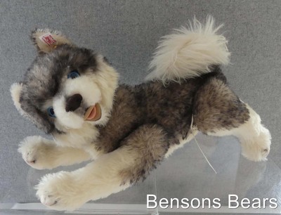 Steiff 2011 Bobby Masterpiece Husky grau weiß Alpaka & Mohair 32 cm EAN 036866