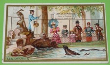 CHROMO 1890-1914 CHOCOLAT POULAIN PARIS JARDIN DES PLANTES OTARIES