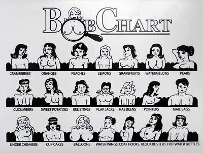 The Boob Chart. :: Behance