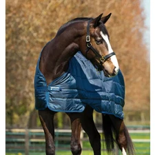 HORSEWARE IRELAND Medium 200g Blanket Liner for Horses  w/ Loops, Sizes