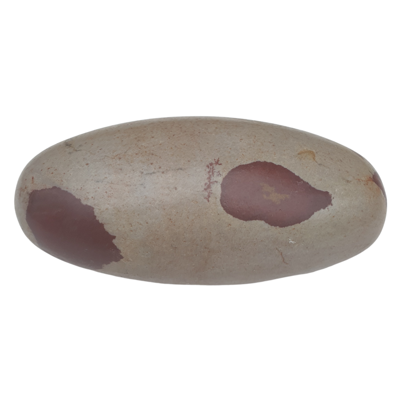 Shiva Lingam Stone - 6 Inch Stone for Knowledge and Wisdom - Narmada River