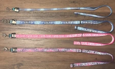 6 Foot Reflective Dog Leash - Coastal Pet - Lazer Brite Patterns (Blue Or Pink)